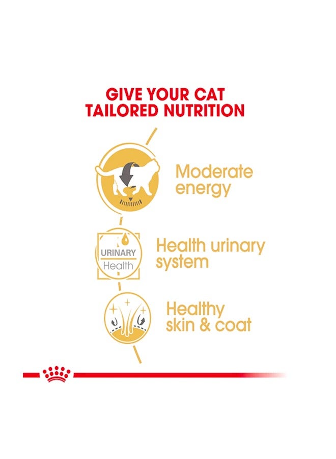 رويال كانين طعام رطب للقطط البريطانية قصيرة الشعر البالغة - 85 غرام - Image 3